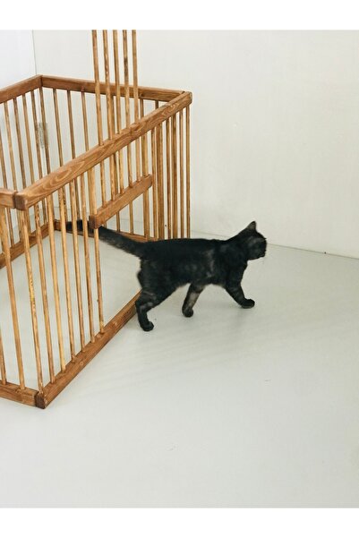 lata ahşap ahşap eskitme köpek,kedi çiti,doğumhane