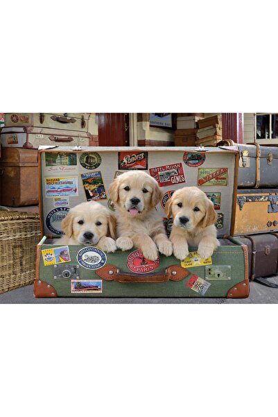 EDUCA Puzzle 500 Parça Bavuldaki Yavrular 17645