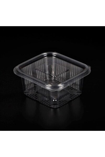 AYDIN AMBALAJ Plastic Leakproof Container 500Gr Disposable (Refrigerator Cont...