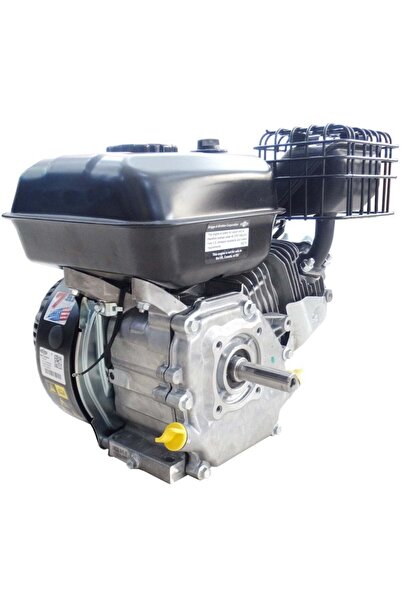 Genel Markalar Briggs & Stratton CR950 Benzinli Motor 7 Hp Çapa Makinası, İlaçlama, İnşaat, Süt Sağım İçin