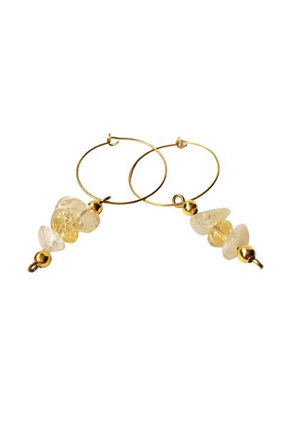 ayrestyle Citrine Crystal Dangle Women's Earrings