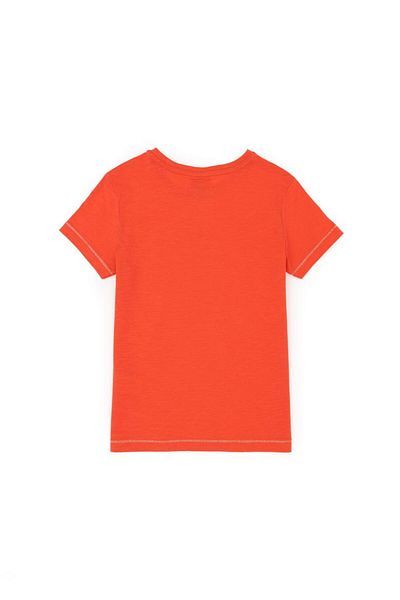 U.S. Polo Assn. Boy's Pomegranate Flower Crew Neck T-Shirt Tekspor 182391 .9