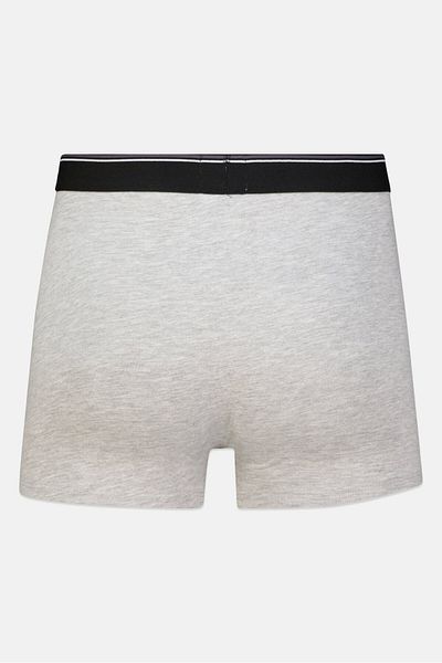Cerruti 1881 Men 2 Pcs Brand Logo Trunk, Grey Melange