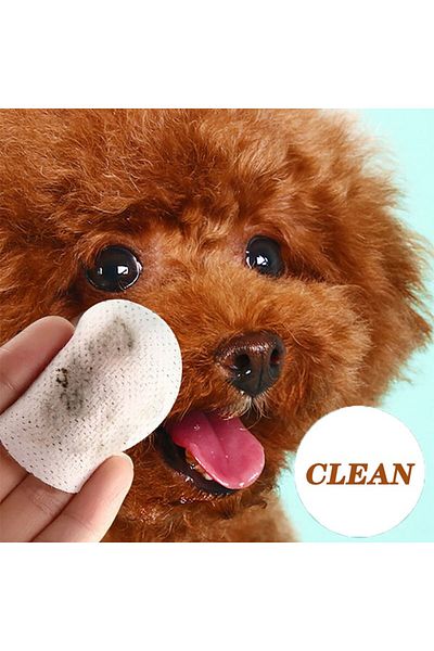 Choice Pet Eye Wipes Cats And Dogs Tearmark Wet Wipes Cats And Dogs Universal No Irritation Cleaning Pro...