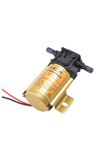 Choice 12V Normal 5L/min 12V DC Petrol Gasoline Pump Fuel Transfer Pumps For Gasoline Diesel Oil Water 12 V
