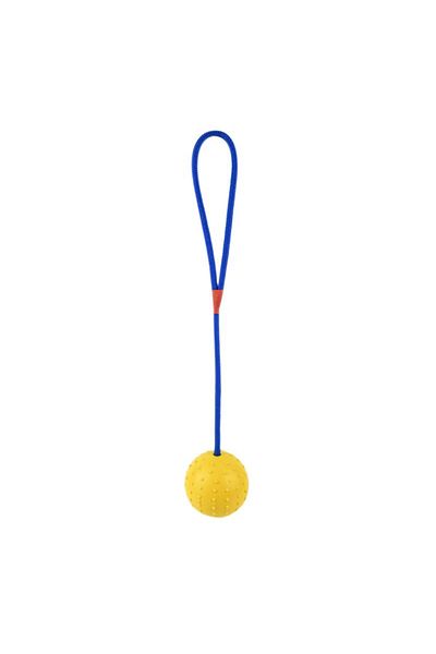 Choice Y Pet Dog Training Toy Dogs Natural Rubber Ball On Rope Durable Toys Chew Teeth Cleaning Ball For F.