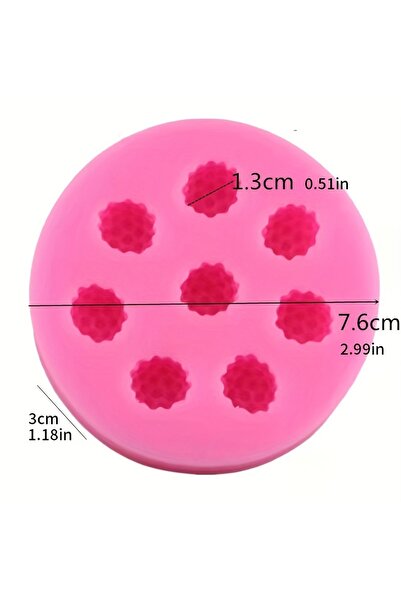 Choice قطعة واحدة من توت العليق، توت أزرق، توت العليق، فاكهة التوت، قالب سيلي...