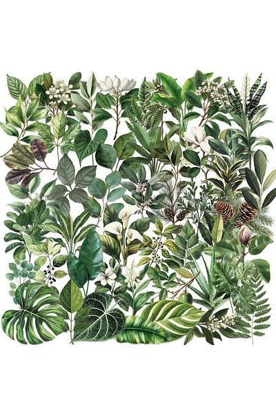 Choice 50PCS ALL 50pcs Green Leaves Stickers Decals DIY Phone Laptop Skateboard Car Waterproof Cute Cartoon
