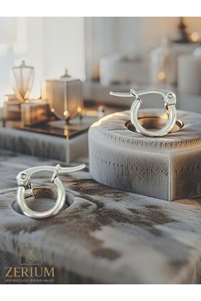 ZERİUM Modern & Stylish Silver / Silver Color Plated Women's Hoop Earrings 316L Steel
