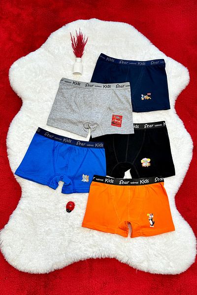 starsolmaz Character Boxers for Kids Kids Set of 5
