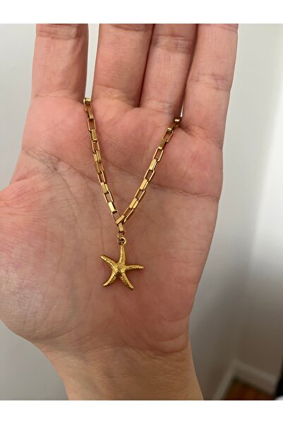 Hoop jewelery Steel Starfish Choker