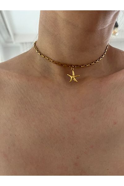 Hoop jewelery Steel Starfish Choker