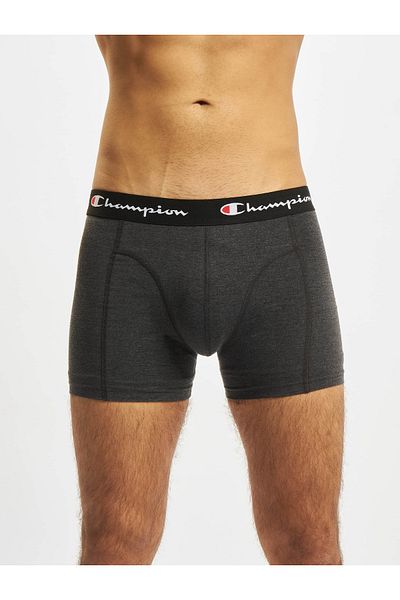 Champion 2 Pk Boxershort Triple