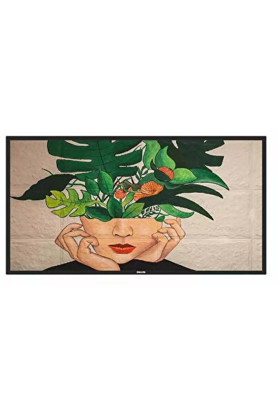 Philips Display Profesional VA LED Philips D-Line Digital Signage 54,6" 55BDL...