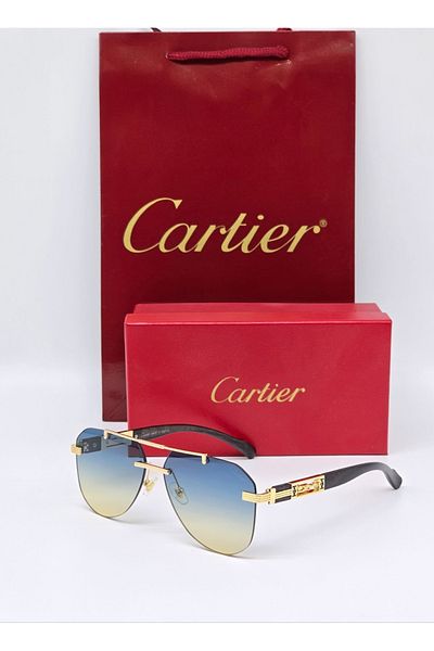 Cartier Cartier sunglasses with accessories