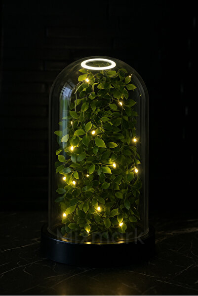 Paşabahçe Fanus İçerisinde Dekoratif Peri Led Işıklı Solmayan Çiçek Yaprak Gece Lamba Siyah Yeşil