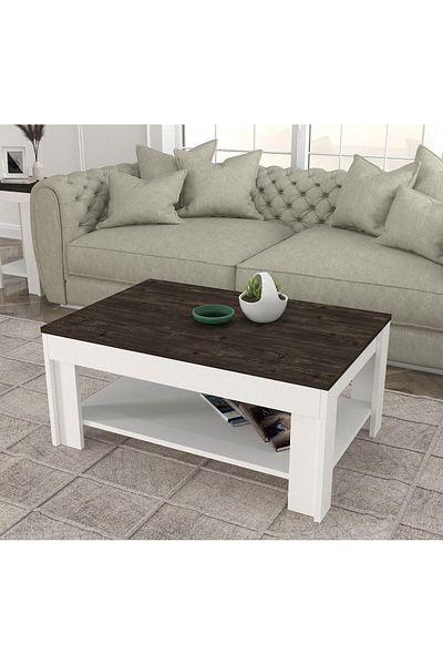 SAHABA Done coffee table model