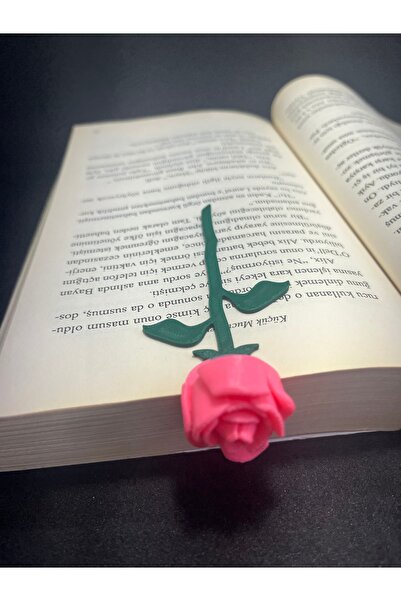 Katmanist Αιώνιο τριαντάφυλλο (ΣΗΜΑΝΤΙΚΟ ΒΙΒΛΙΟ) Ροζ τριαντάφυλλο