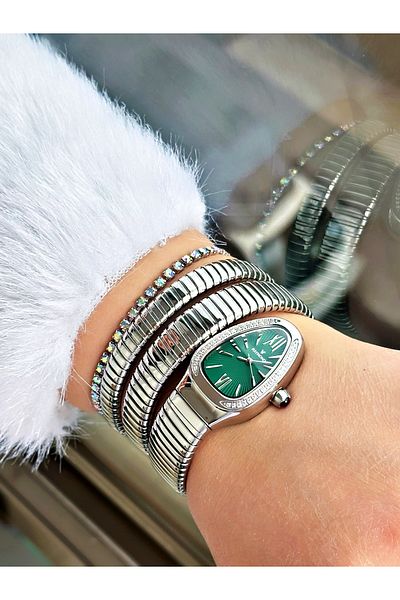 Raymond Silver Color Steel Case Cord Snake Model Stone Business Women's Wristwatch + Bracelet