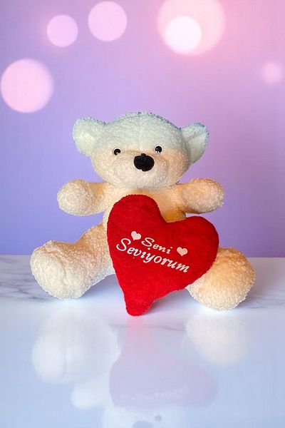 Canestar I Love You Cute Plush Teddy Bear with Heart Gray - Special Heart Teddy Bear for Lover