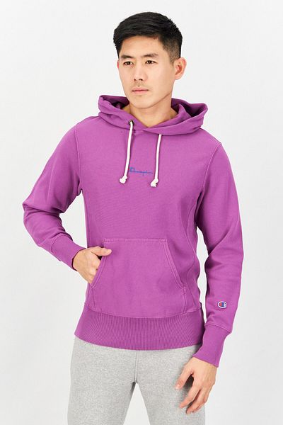 Champion Men Sportswear Fit Long Sleeve Training Hoodies, Purple