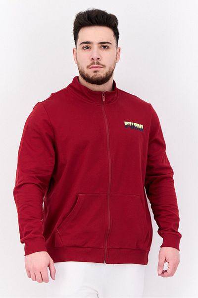 Puma Men Slim Fit Brand Logo Long Sleeves Training Sweatshirt, Red