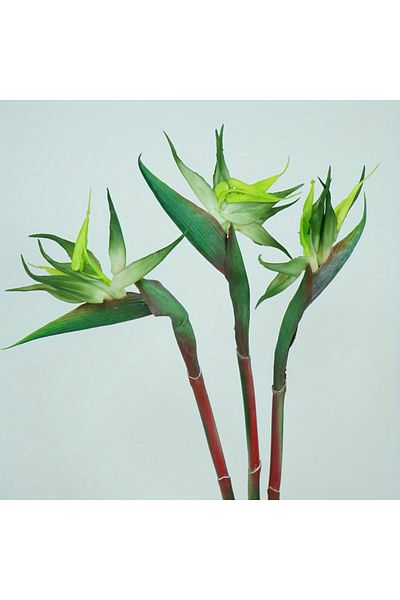 Choice 3pcs-green 3pcs Artificial Bird Of Paradise Flowers Rubber Strelitzia 24.5'' Long Stem Flower Suitab