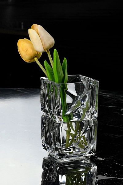 Wow Home Square Glass Luxury Vase