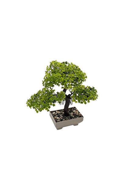 Eva Dekor SANAL BOX YILDIZ ÇİÇEĞİ AĞAÇ