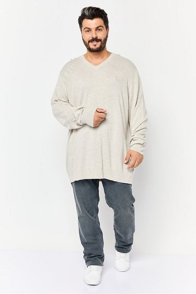 AMERICAN EAGLE Men V-neck Embroidered Logo Sweater, Light Grey