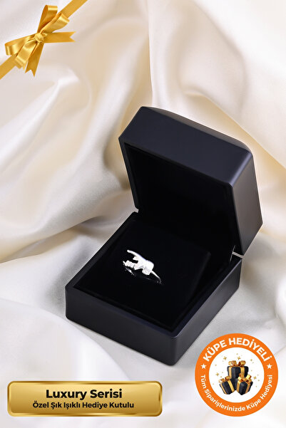 Lucente Jewellery Luxury Serisi Işıklı Hediye Kutulu 925 Ayar Gümüş Kaplama A...