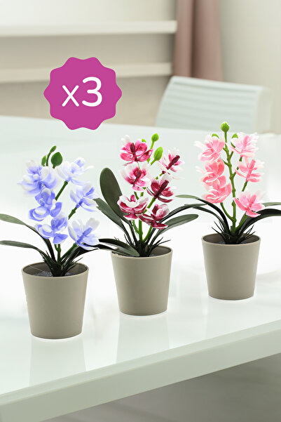 Ayshe Home Concept 3 Adet Dekoratif Orkide Mini Çiçek Saksılı Çiçek Süs Ev Dekorasyon Bordo-Mavi-Pembe