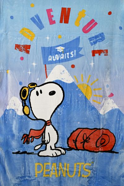 PEANUTS Raschel Blanket - Peanuts, Blue Color-BL/PEA/24/C4