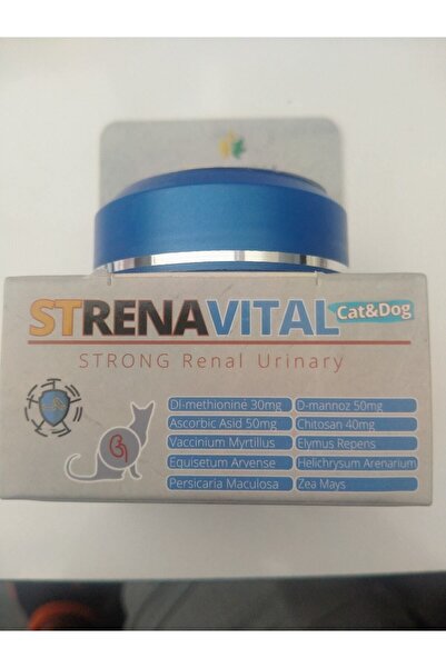 Zoovital Strenavital Kediler Için Uriner Sistem Desteği