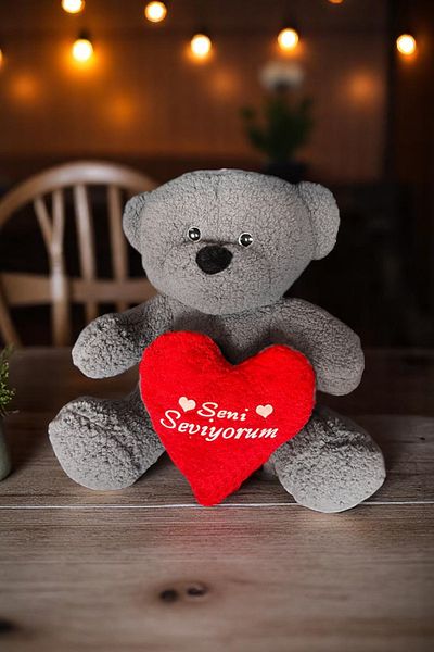 Canestar Special Heart for Lover I Love You Plush Teddy Bear - Soft Plush Bear