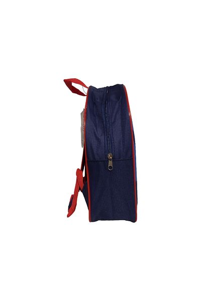 Sonic Children's backpack, multicolor, dimensions 30x26x10cm, Sonic