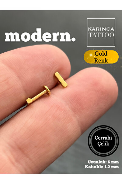 Karınca Piercing Düz Modern Fashion Altın Rengi Tragus Helix Conch Labret Dudak Kulak Piercing