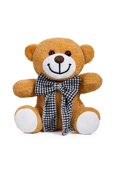 Canestar Special Design Bow Tie and Heart Details Special Gift for Lovers - Plush Bear