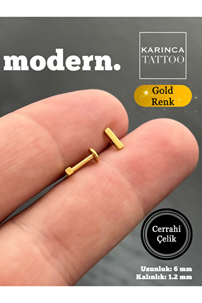 Karınca Piercing Düz Modern Fashion Altın Rengi Tragus Helix Conch Labret Dudak Kulak Piercing