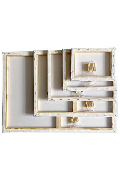 PIGNA Canvas Painting On Frame - 40 X 50 Cm