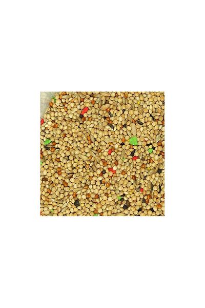 VİNCİ Vinci Balanced Mixture for Budgies 500g