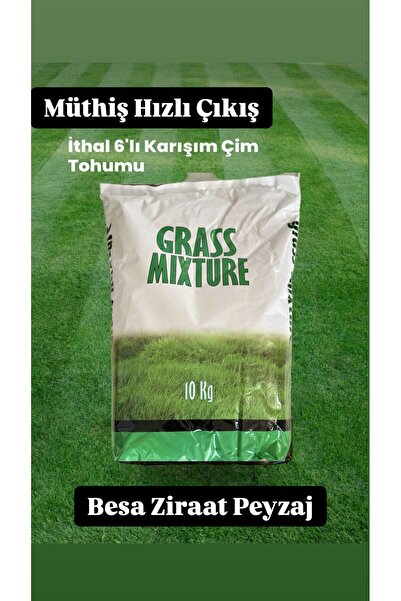 besa ziraat peyzaj Çok Yıllık Çim Tohumu 20Kg Uzun Ömürlü 6'lı Karışım Gölge ...