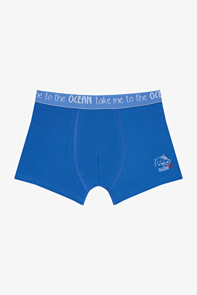 Penti Erkek Çocuk Pufferfish Çok Renkli 2'li Boxer