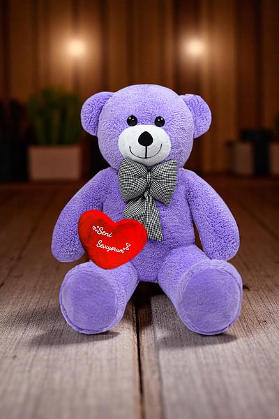 Canestar Special Design Large Plush Bear - I Love You with My Heart - the Most Special Gift for Your Lover