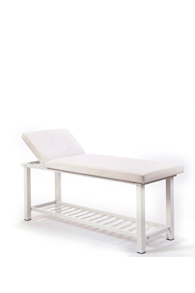 Labortech Elit Ekstra Sağlam Sırt Hareketli Bakım Masası Masaj Sedyesi 3221