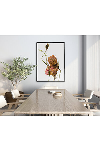 Harika bir ev HARİKABİREV | MOALE |   MODEL FLORI UScate 03 | TABLĂ DE STICLĂ...