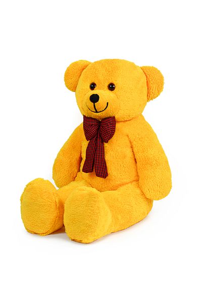 Canestar Special Design Large Plush Bear - I Love You with My Heart - the Most Special Gift for Your Lover