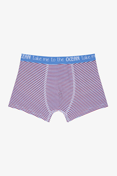 Penti Erkek Çocuk Pufferfish Çok Renkli 2'li Boxer