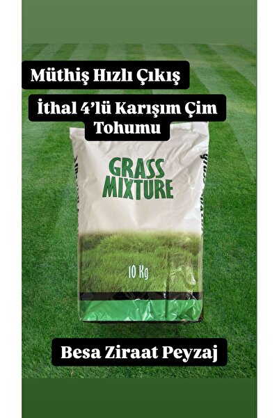 besa ziraat peyzaj Çok Yıllık Çim Tohumu 20Kg Uzun Ömürlü 4'lü Karışım Gölge ...