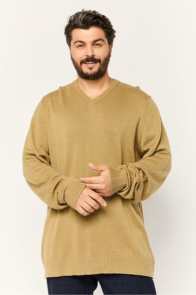 AMERICAN EAGLE Men V Neck Embroidered Logo Sweater, Khaki